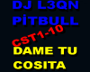 DJ L3QN & PİTBULL