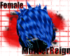 {MR} Ice Blue DJ Hair