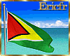 [Efr] Guyana flag v2
