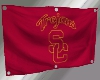 [TB] Trojans Flag