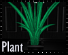 Plant pvc black