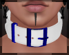 + Belt Collar Sapphire