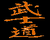 Bushido Kanji Orange