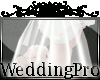 Romantic Bridal Veil