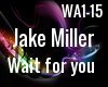 Jake Miller Wait for you