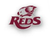 Reds Rugby Logo Animated