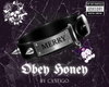 Merry Mark |M|