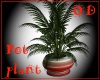 (OD) Large potplant