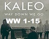 Way Down We Go- Kaleo HQ