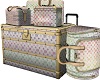 Designer Luggage
