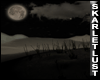 SL Dark Desolation