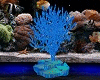 Blue Aqua Coral Tree