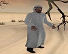 ARABIAN MAN3