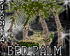 !P^ PALM BEACH BED