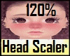 120%  Head Scaler
