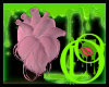 Mi Corazon P