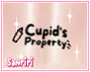 𝓢. Hvngcupid Back