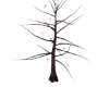 the Spirits tree
