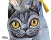 (̲̅A̲̅) cat bag