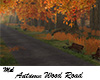 Autumn Wood Road