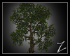 Z | large Tree