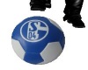`Schalke-Football`