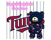 MinnesotaTwins teddy