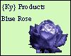 {Ky} Blue Rose