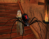 Guard Spider for M/F 