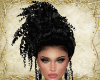 RLL Black Bundle