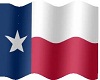 flag texas