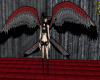 red and black wings