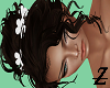 Festiva Umber W.