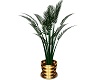 bcs House Plant Palm