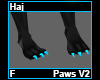 Haj Paws F V2