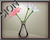 SIO- DERIVABLE daisy