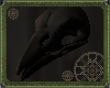 𓅯 Voodoo Crow