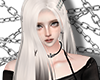 ᨳSlamese Dayna
