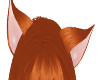 ginger cat ears