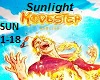 Modestep - Sunlight