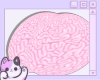 my cute brain