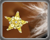 S|| Gold star earring BI