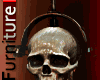 Dark Skull Display
