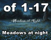 Meadows at  night