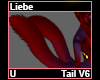 Liebe Tail V6