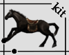 [Kit]black horse