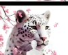 Tiger background