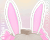 ❄ Bunny Pink Ears