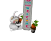 🐇Bunny Welcome