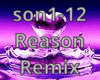 Reason Remix